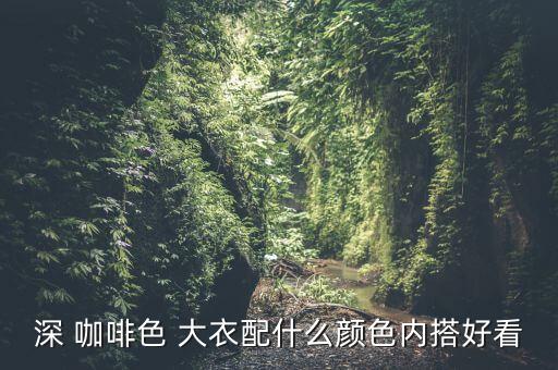深 咖啡色 大衣配什么颜色内搭好看