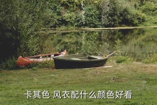 穿风衣内搭裙子图片,风衣搭裙子还是裤子好看
