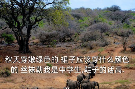 绿裙子配什么丝袜好看,绿花裙子配什么上衣
