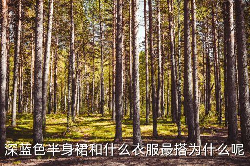 深蓝色半身裙和什么衣服最搭为什么呢