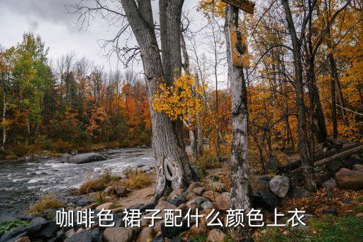 浅咖色裙子配什么颜色好看吗