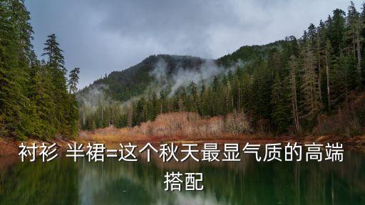高档裙子秋季搭配,秋季藏蓝色裙子搭配鞋子图
