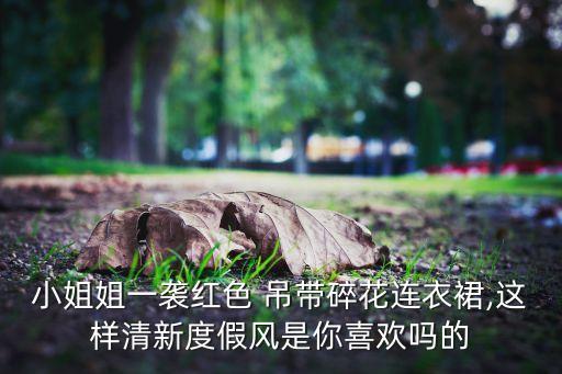 好看的吊带礼服裙子图片,公主裙子礼服怎么画好看