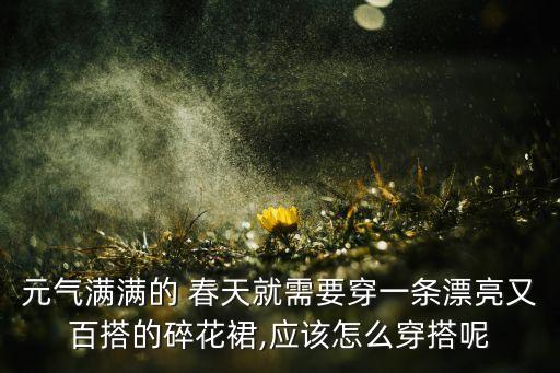 元气满满的 春天就需要穿一条漂亮又百搭的碎花裙,应该怎么穿搭呢