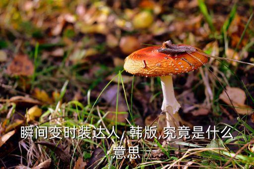 瞬间变时装达人, 韩版,究竟是什么意思