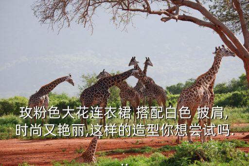 玫粉色大花连衣裙 搭配白色 披肩,时尚又艳丽,这样的造型你想尝试吗...