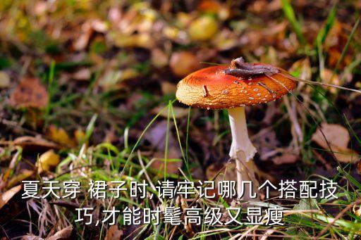 夏天穿 裙子时,请牢记哪几个搭配技巧,才能时髦高级又显瘦