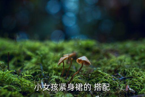 小女孩紧身裙的 搭配