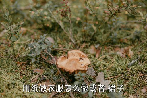 用纸做衣服怎么做或者 裙子
