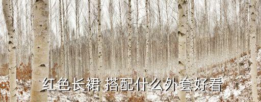  红色长裙 搭配什么外套好看