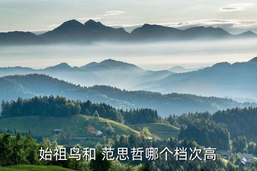 始祖鸟和 范思哲哪个档次高
