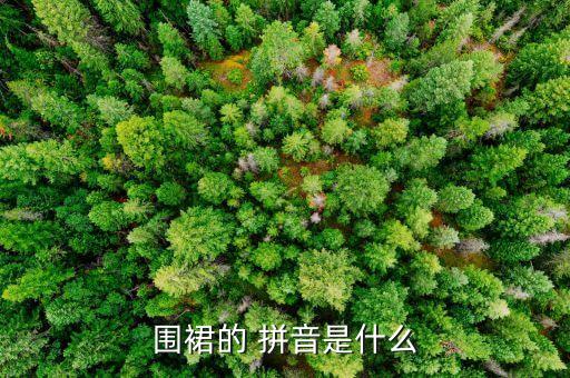 裙子的拼音是什么样的,冠冕的拼音是什么样的