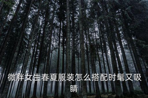 夏日职场穿搭微胖裙子推荐