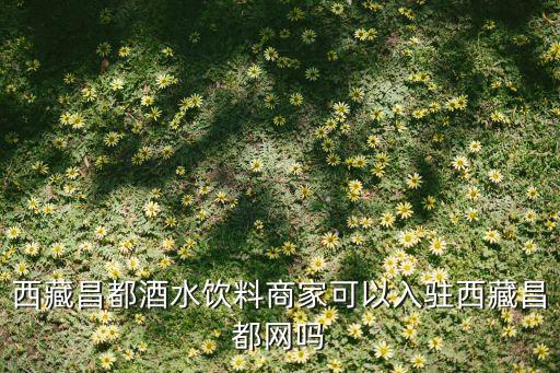 西藏昌都酒水饮料商家可以入驻西藏昌都网吗