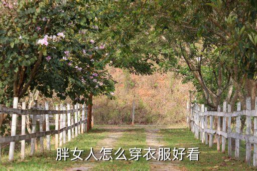胖女人怎么穿衣服好看