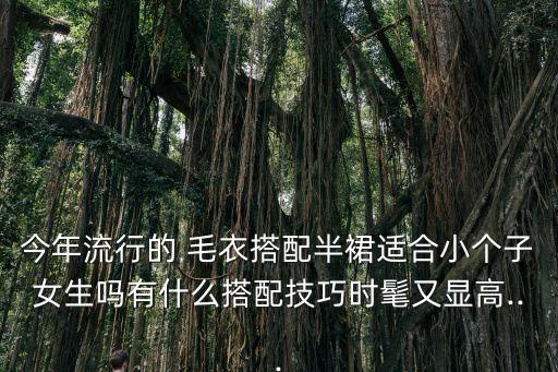 今年流行的 毛衣搭配半裙适合小个子女生吗有什么搭配技巧时髦又显高...