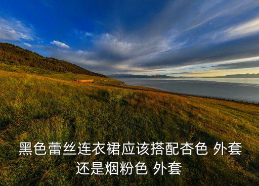 黑色蕾丝连衣裙应该搭配杏色 外套还是烟粉色 外套