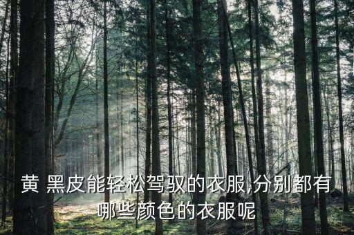 黄 黑皮能轻松驾驭的衣服,分别都有哪些颜色的衣服呢