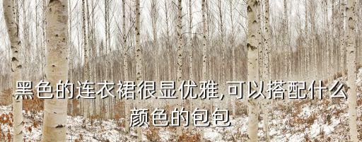 女装小黑裙子,小黑裙子洗发水好吗?