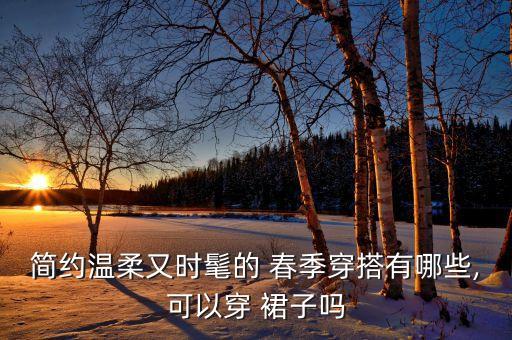 裙子春季搭配衣服图,浅紫色裙子搭配什么颜色衣服