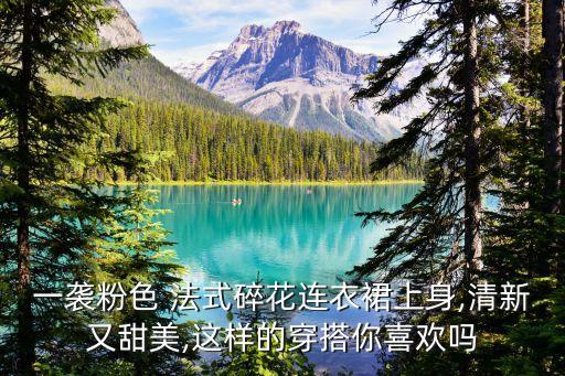 一袭粉色 法式碎花连衣裙上身,清新又甜美,这样的穿搭你喜欢吗