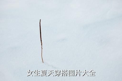 女生夏天穿搭图片大全