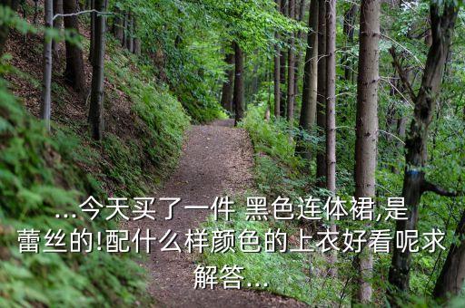 ...今天买了一件 黑色连体裙,是蕾丝的!配什么样颜色的上衣好看呢求解答...