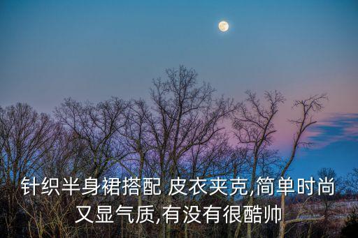 针织半身裙搭配 皮衣夹克,简单时尚又显气质,有没有很酷帅