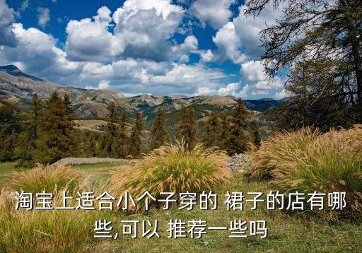 淘宝上适合小个子穿的 裙子的店有哪些,可以 推荐一些吗