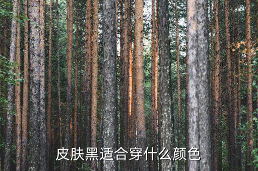 皮肤黑适合穿什么颜色