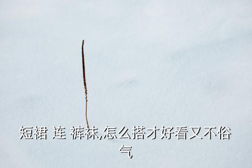 短裙 连 裤袜,怎么搭才好看又不俗气