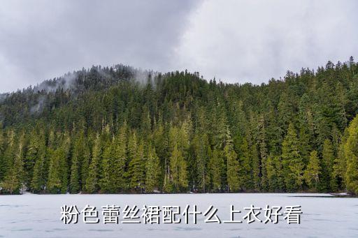  粉色蕾丝裙配什么上衣好看