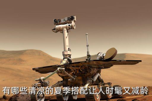 雏菊裙子配什么上衣好看