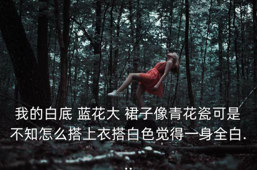 我的白底 蓝花大 裙子像青花瓷可是不知怎么搭上衣搭白色觉得一身全白...