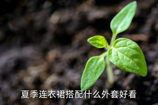 夏季连衣裙搭配什么外套好看