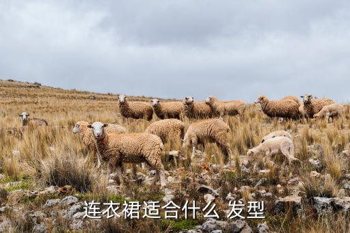 连衣裙适合什么 发型