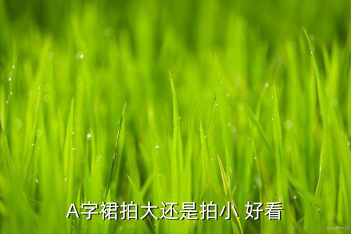 A字裙拍大还是拍小 好看