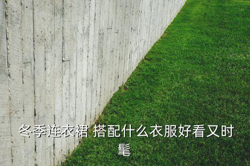 冬季特殊裙子搭配,冬季西装搭配裤子还是裙子