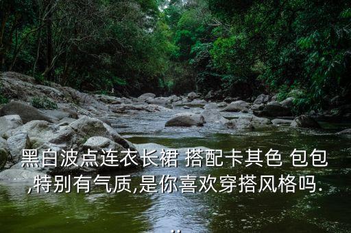 黑白波点连衣长裙 搭配卡其色 包包,特别有气质,是你喜欢穿搭风格吗...