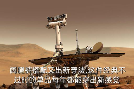 阔腿裤搭配又出新穿法,这件经典不过时的单品每年都能穿出新感觉