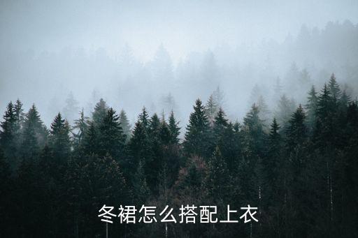 冬裙怎么搭配上衣