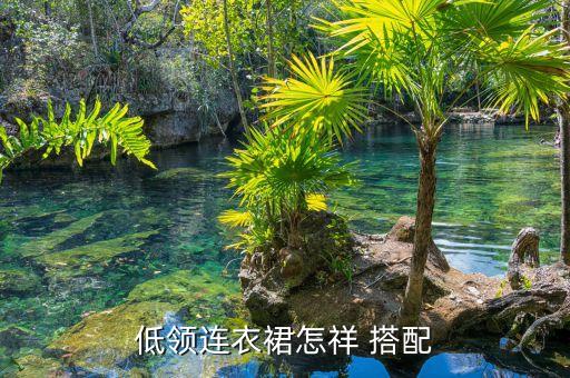 低领连衣裙怎祥 搭配