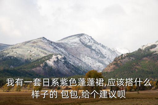 我有一套日系紫色蓬蓬裙,应该搭什么样子的 包包,给个建议呗