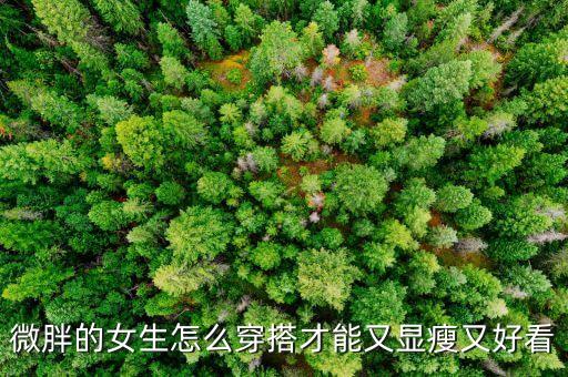 胖女孩穿搭裙子短裤可以吗