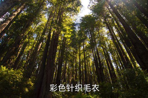  彩色针织毛衣