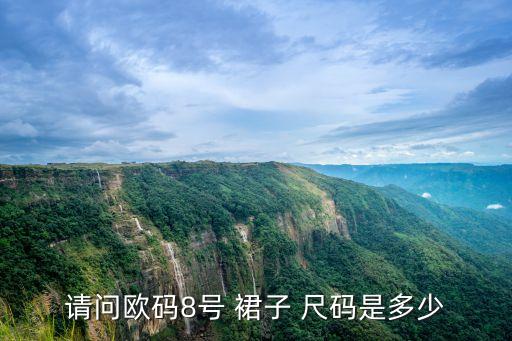 请问欧码8号 裙子 尺码是多少