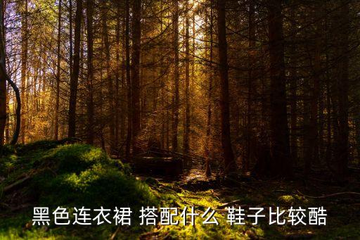 黑色连衣裙 搭配什么 鞋子比较酷