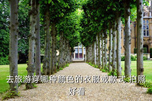 去旅游穿哪种颜色的衣服或款式 拍照 好看