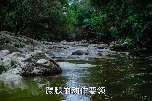 踢腿的动作要领