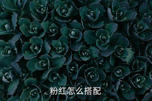粉红怎么搭配